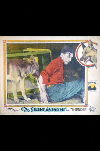 The Silent Avenger (1927) poster