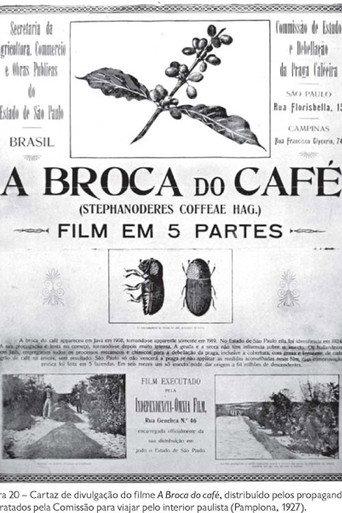 A Broca do Café (1925) poster