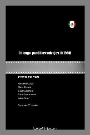 Chicago, pandillas salvajes II (1991) poster
