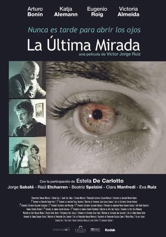 The Last Look (2011) poster
