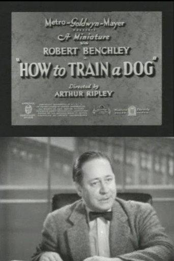 How to Train a Dog (1936) poster