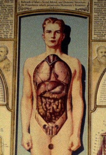 Natural History (1989) poster