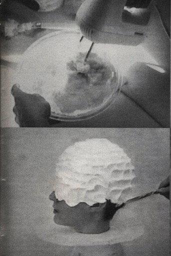 Icing (1996) poster