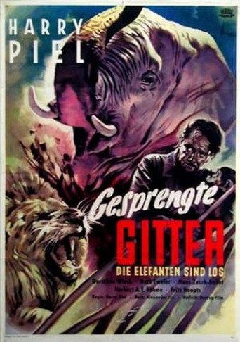 Elephant Fury (1953) poster