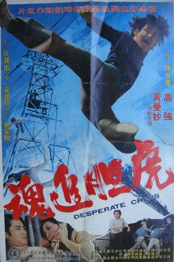 Desperate Crisis (1974) poster