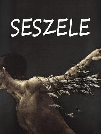 Seychelles (1991) poster