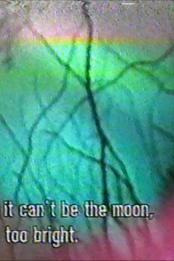 5:5 fallen moon (2024) poster