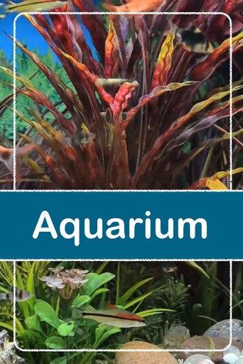 Relaxing Aquarium (2016) poster