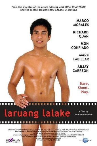 Boy Toys (2010) poster