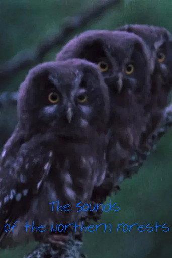 The Sounds of the Northern Forests (1973) poster