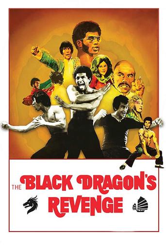 Black Dragon's Revenge (1975) poster