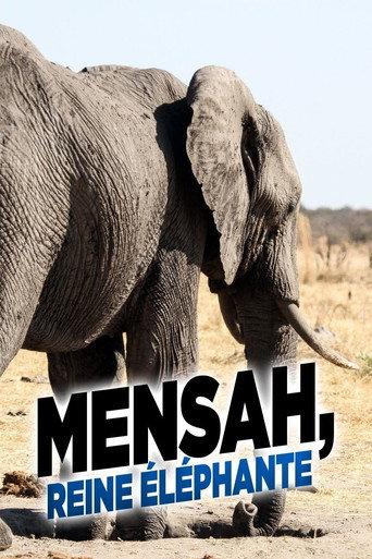 Elephant Queen (2014) poster