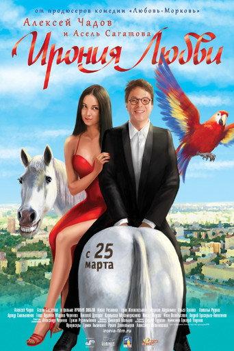 The Irony of Love (2010) poster