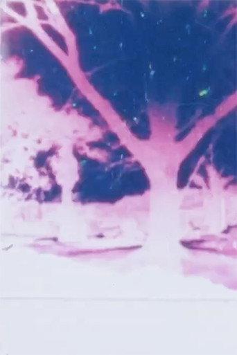 Light Play (1984) poster