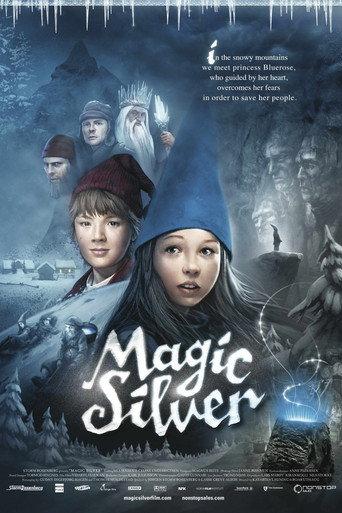 Magic Silver (2009) poster