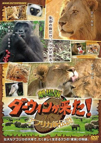 Darwin is here! new african legend (2019) poster