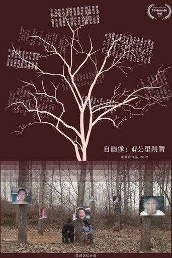 Self-Portrait: Dancing at 47KM (2013) poster