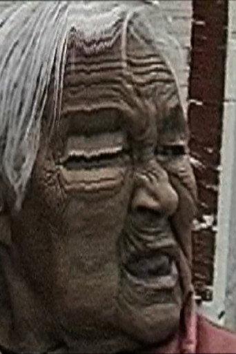 Old Lady El Toppo () poster