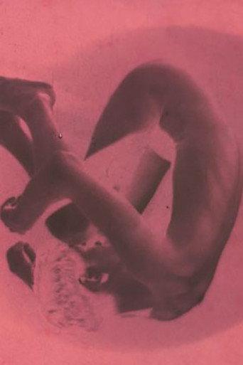 The Skin of a Napping (1967) poster
