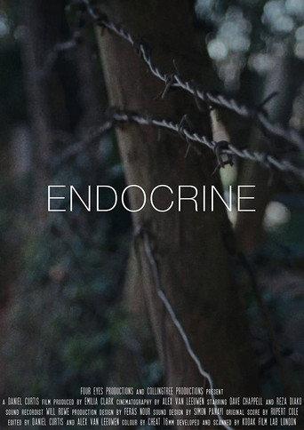 Endocrine () poster