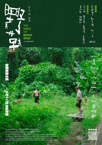 The Perks of Being Wild (2024) poster