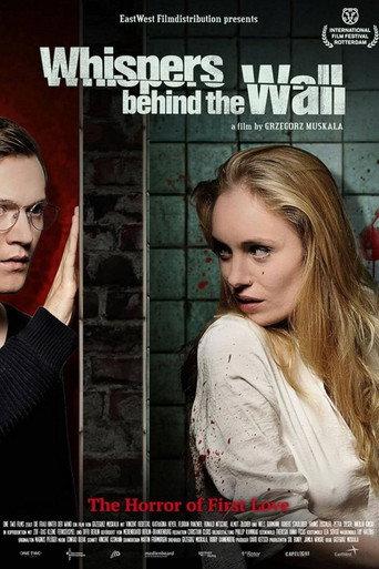 Whispers Behind the Wall (2013) poster