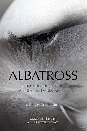 Albatross (2013) poster
