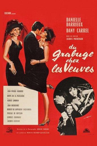 Trouble Among Widows (1964) poster