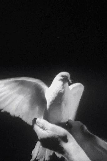 The Butterfly and the Candle Flame (1956) poster