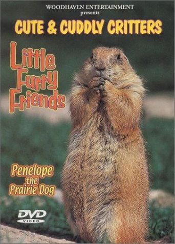 Cute & Cuddly Critters: Little Furry Friends (2000) poster