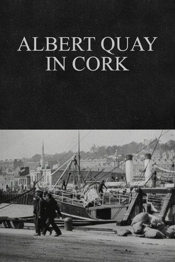 Albert Quay in Cork (1902) poster