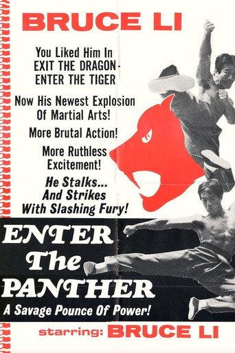 Enter the Panther (1975) poster