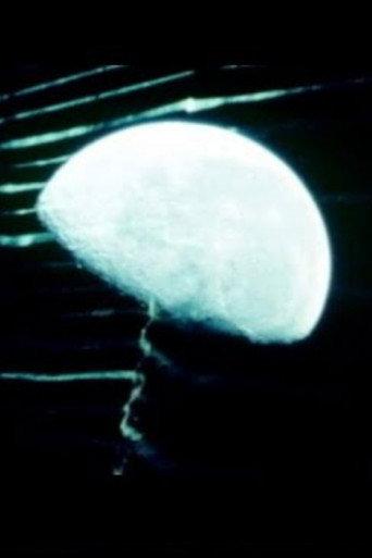 Wet Weather (1980) poster