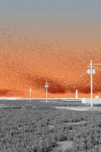 If toxic air is a monument to slavery, how do we take it down? (2021) poster