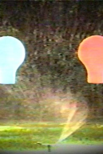 Water, Lightbulbs, Dying Bugs and Doorbells (1981) poster