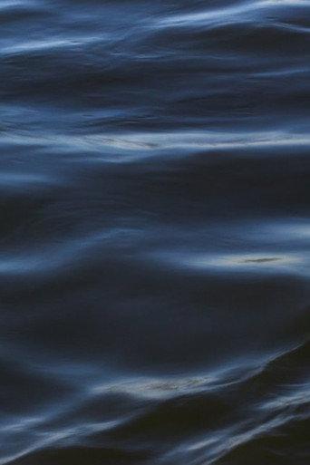 The Flood (2021) poster