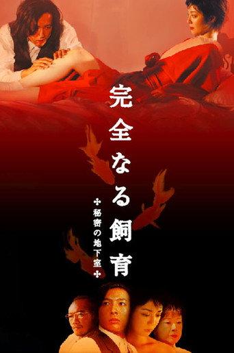 Perfect Education 4: Secret Basement (2003) poster