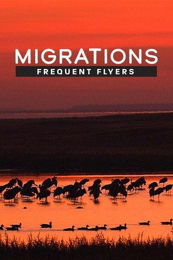 Migrations: Frequent Flyers (2020) poster