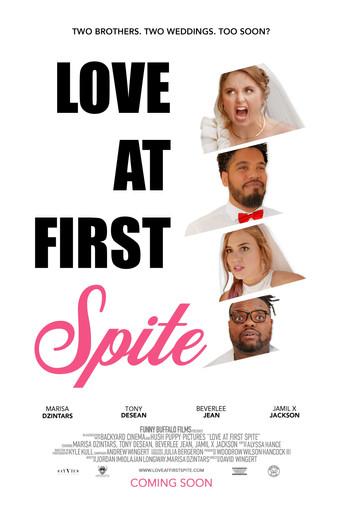 Love at First Spite () poster
