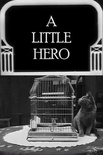 A Little Hero (1913) poster