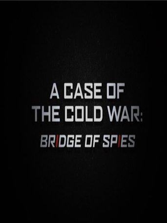 A Case of the Cold War: Bridge of Spies (2016) poster