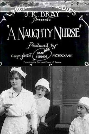 A Naughty Nurse (1928) poster