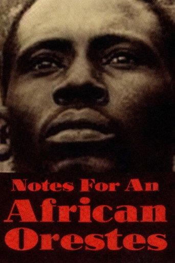 Notes Towards an African Orestes (1975) poster