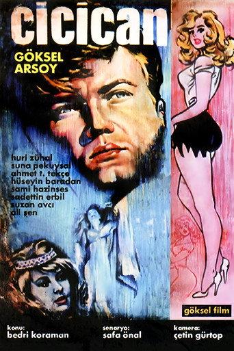 Cici Can (1963) poster