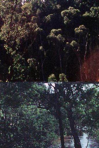 At Eltham, a Metaphor on Death (1974) poster