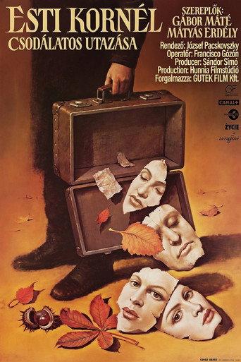 The Wondrous Voyage of Kornel Esti (1995) poster