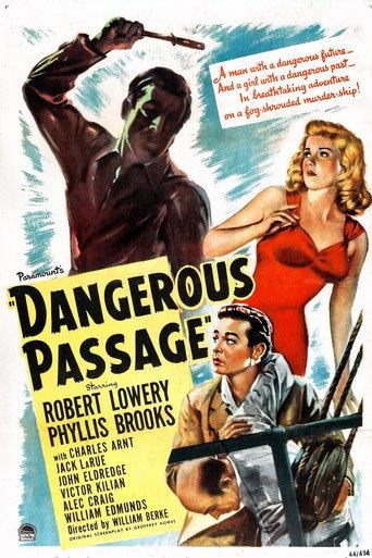 Dangerous Passage (1944) poster