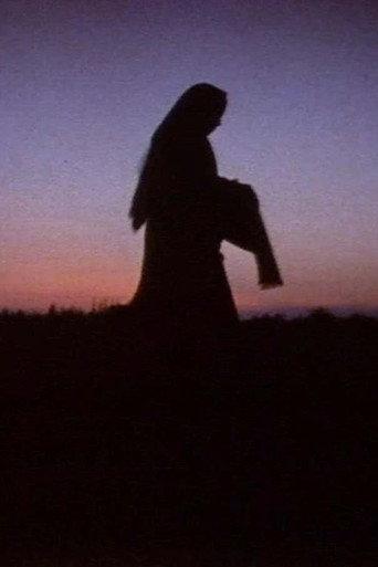 Women in the Shadows (1991) poster