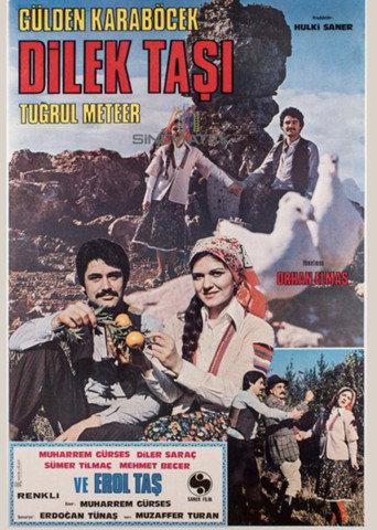 Dilek Taşı (1978) poster