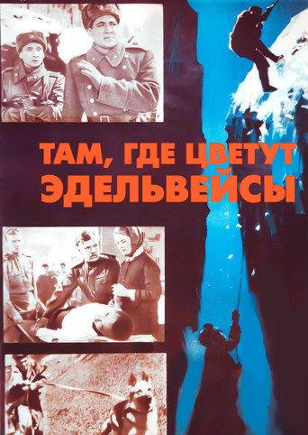 Where the Edelweiss Blooms (1965) poster